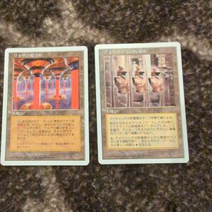 MTG マジックザギャザリング まとめ売り 2枚 白枠 土地