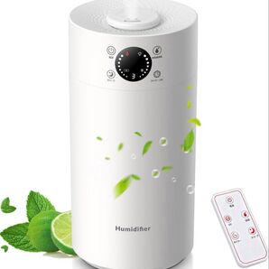 加湿器 小型 乾燥対策 自動停止機能 超音波式 大容量 5L 省エネ おしゃれ 静音 空焚き防止