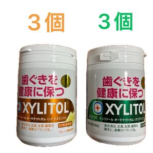 キシリトールオーラテクト ボトルガム 6個