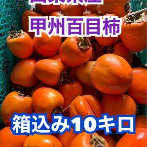 sg120 山梨県産 甲州百目柿 箱込み10キロ 干し柿 渋柿