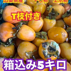 m119山梨県産 エボ柿 干し柿 つるし柿 渋柿 箱込み5キロ