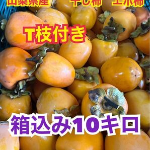 mp101 山梨県産 エボ柿 干し柿 つるし柿 渋柿 箱込み10キロ