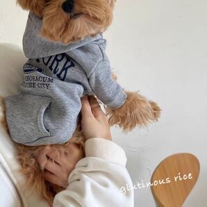 【新品】可愛い/スウェットロゴパーカー 犬 服 ドッグウェア 小型犬 グレー 秋冬服 Sサイズ Mサイズ Lサイズ ペット服