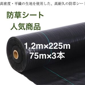 防草シート 高密度・抗菌剤入り1.2m×225m (耐久性4〜6年) 75m×3