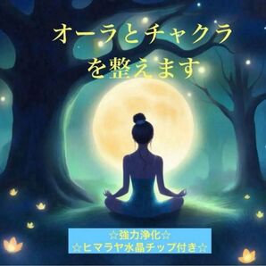 あと4名限定割引:888円→500円 集中ヒーリング 心身のつらい所を癒します ヒマラヤ水晶 お守り付き