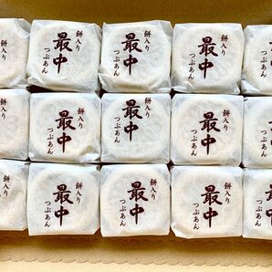 風月庵 餅入りつぶあん最中 15個セット もち入り!
