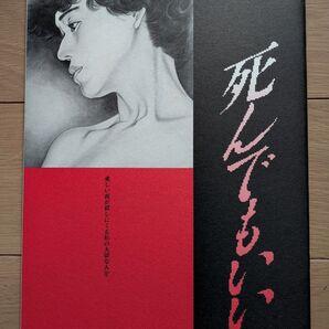 映画「死んでもいい」パンフレット 1992年 大竹しのぶ 永瀬正敏 室田日出男 竹中直人 清水美子