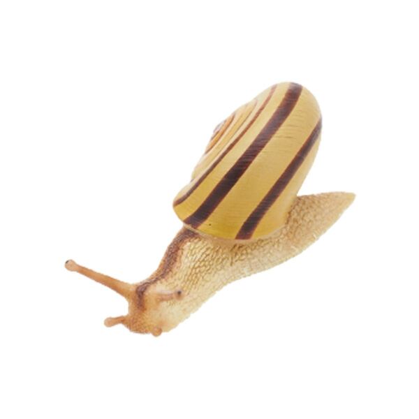 ミスジマイマイ 単品 日本のいきもの ネイチャーテクニカラー Nature カタツムリ