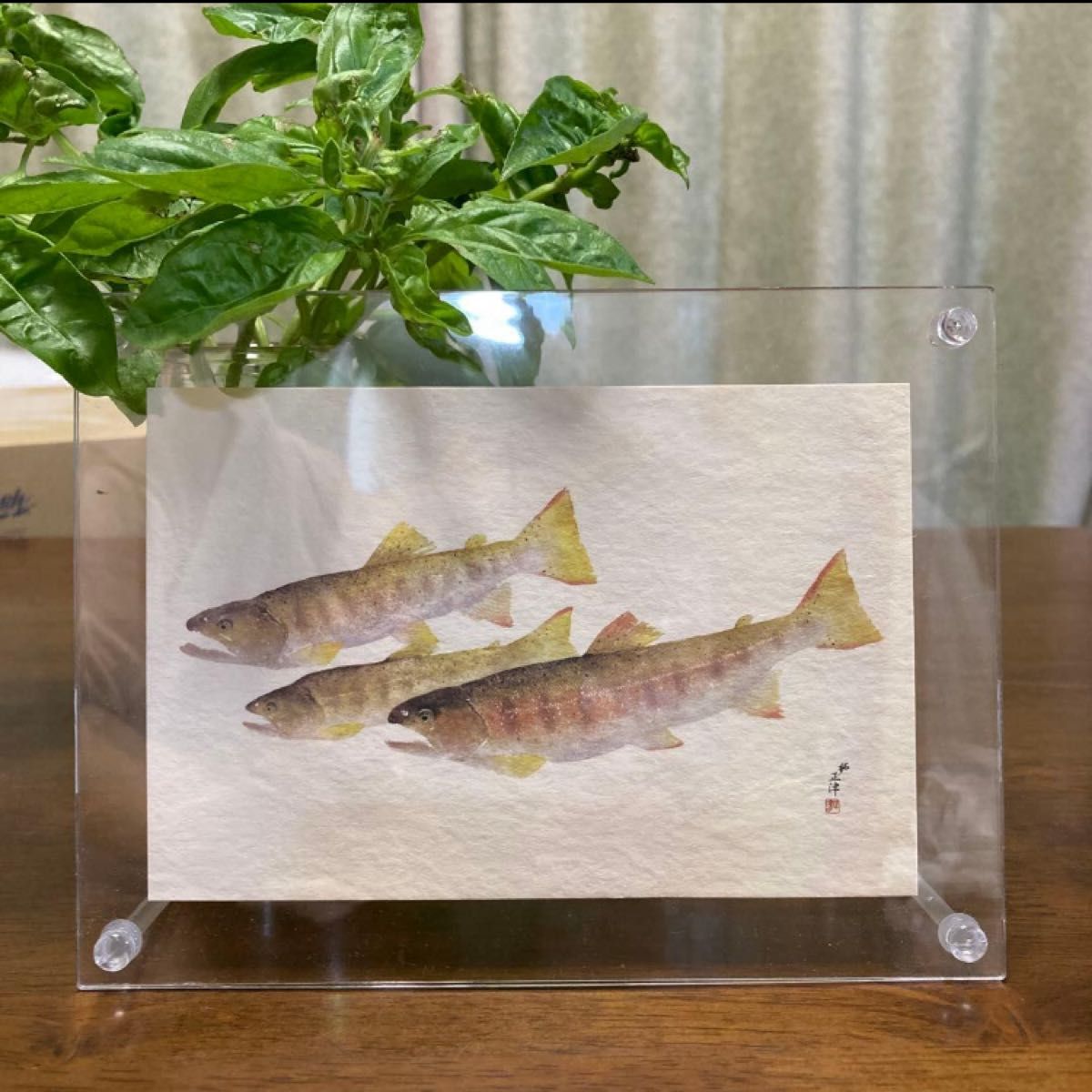 アート魚拓　松永正津　ポストカード　8枚セット