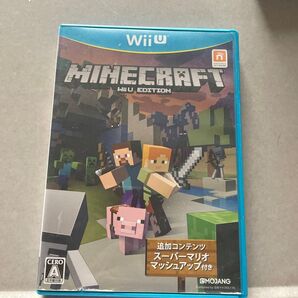 Minecraft WiiU EDITION