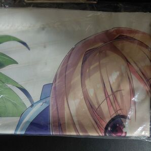 ようこそ実力至上主義の教室へ 櫛田桔梗 描き下ろしB2タペストリー 4巻 メロンブックス限定版 特典 トモセシュンサク