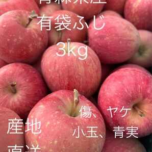 大特価セール 生食可 数量限定 青森県産 有袋ふじ 3kg
