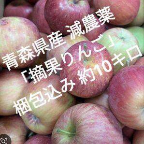 青森県産 摘果りんご 加工用りんご 梱包込み約10キロ