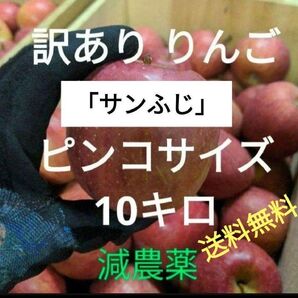 青森県産 減農薬 訳ありりんご「サンふじ」 ピンコサイズ 梱包込み約10キロ