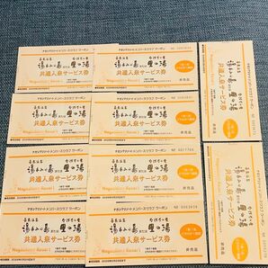 【10枚】湯あみの島(里の湯)共通入泉サービス券 2028年2月29日まで有効【ナガシマリゾート】長島温泉 チケット 入園券 お得