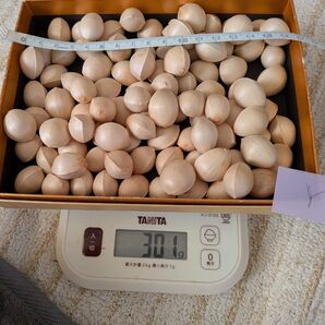 ぎんなん 銀杏 300g程度 愛知県産