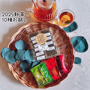 台湾茶 2025春茶烏龍茶10種 他 計14点お試しセット