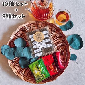 台湾茶 2025春茶烏龍茶10種セット+9種セット 計27点お試しセット