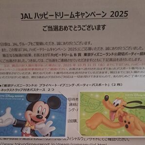 JAL主催 プライベート・イブニング・パーティー2025 ペアチケット 東京ディズニーランド