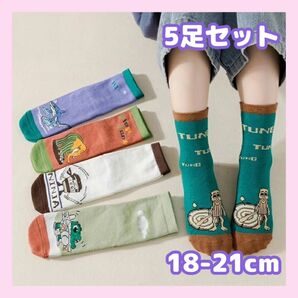 18-21cm★ イタリアンブレインロット キッズ ソックス5足セット 子供 靴下 ④