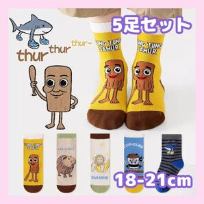 18-21cm★イタリアンブレインロット キッズ ソックス5足セット 子供 靴下 ③