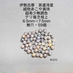 伊勢志摩 英虞湾産 越物あこや真珠 超希少無調色6.5mm〜7.5mmRU212