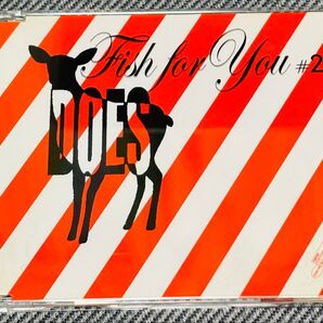 DOES「FISH FOR YOU #2」