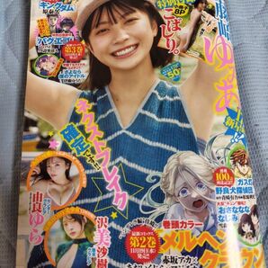 ヤングジャンプ 2025年11月27日号 (集英社)