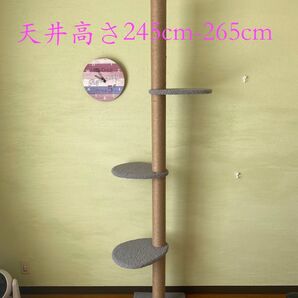 完全赤字!送料込み! 突っ張り型 キャットタワー 天井高さ228cm-245cm