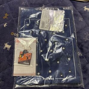 2025 Pokemon collection くじ C賞、G賞セット