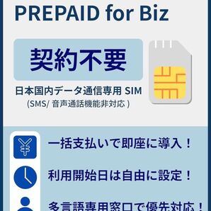30日間50GB 日本国内データ通信専用 プリペイド物理SIMカード