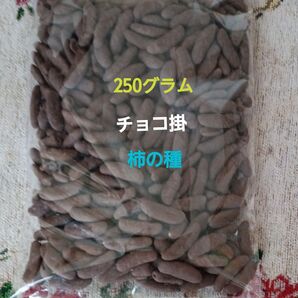 チョコ掛け柿の種 平塚製菓