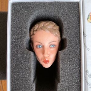 フィギュアヘッド 1/6