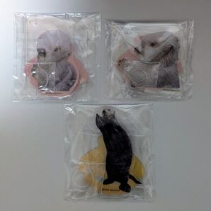 カプくじ×鳥羽水族館 ラッコのメイちゃんくじ リターンズ! アクスタ アクリルスタンド 3点セット