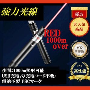 USB充電式 星空レーザーポインター 赤光線 電池不要 未使用 ネコおもちゃ 現場指示 高評価