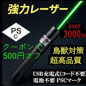 USB充電式 電池不要 ★レーザーポインター グリーン緑色 強力光線 カラス撃退 ネコおもちゃ 現場指示 高評価です
