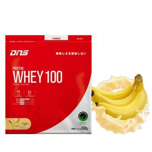 DNS プロテイン ホエイ100 バナナオレ風味 630g 未開封
