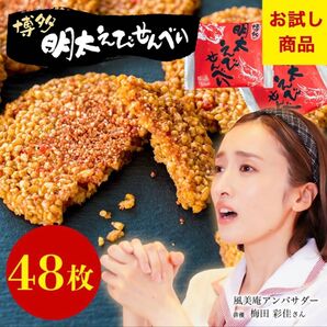 博多明太えびせんべい48枚入