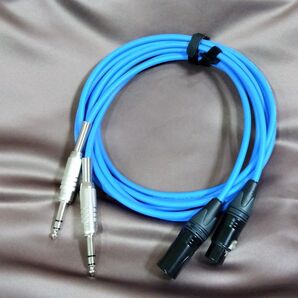 【新品・作りたて】インサートケーブル カナレL-4E6S 2m 新品作りたて チェックのみ使用