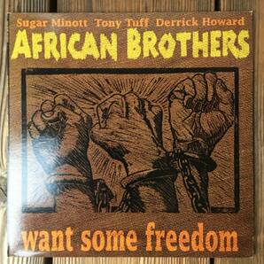 ★送料込み！試聴！全曲試聴確認済み！レア！名盤！【African Brothers - Want Some Freedom】LP Easy Star US remastered