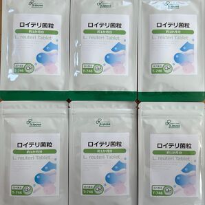 送料無料 約1ヶ月分×6袋セット ロイテリ菌粒 未開封 リプサ 乳酸菌