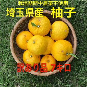 〈お買い得B品〉栽培期間中農薬不使用 埼玉県産 柚子ゆず7kg
