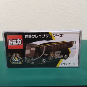 特注バストミカ 群馬クレインサンダーズ いすゞ ガーラ