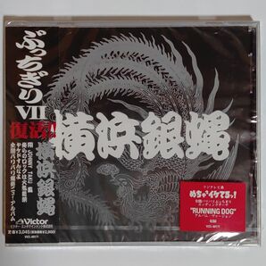 横浜銀蝿/ぶっちぎりVII