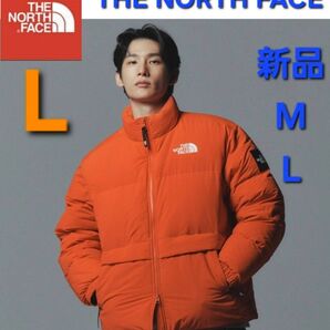 THE NORTH FACEノースフェイス ダウンジャケット 新品未使用 防寒 L