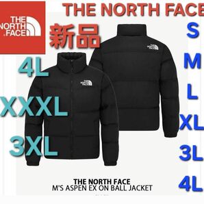 THE NORTH FACEノースフェイス中綿ダウンジャケット新品アウター 4L