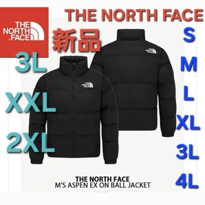 THE NORTH FACEノースフェイス中綿ダウンジャケット新品アウター 3L