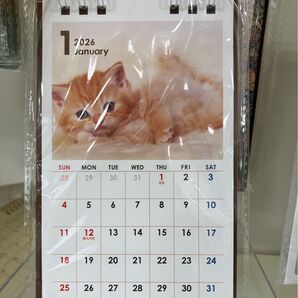 2026猫のカレンダー