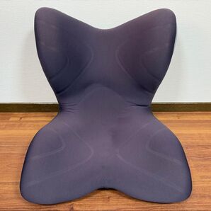 MTG 骨盤サポートチェア Style PREMIUM スタイルプレミアム ブラウン