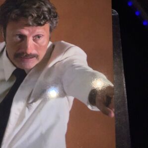 生誕60周年祭 入場者特典 トレカ カード メン&チキン